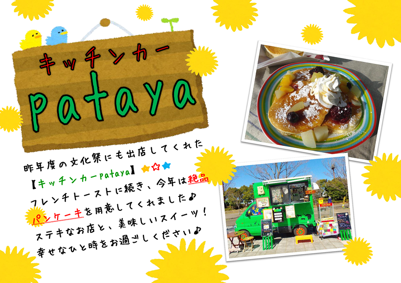 pataya.pdf